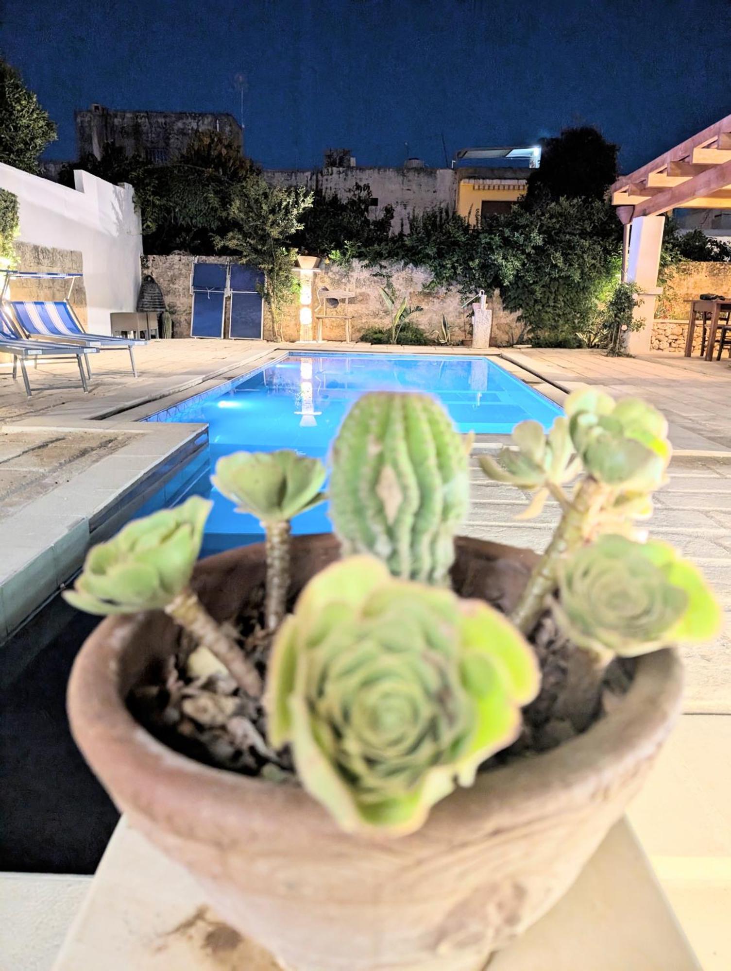 The Art Of Leo Bed & Breakfast Lucugnano Exterior foto